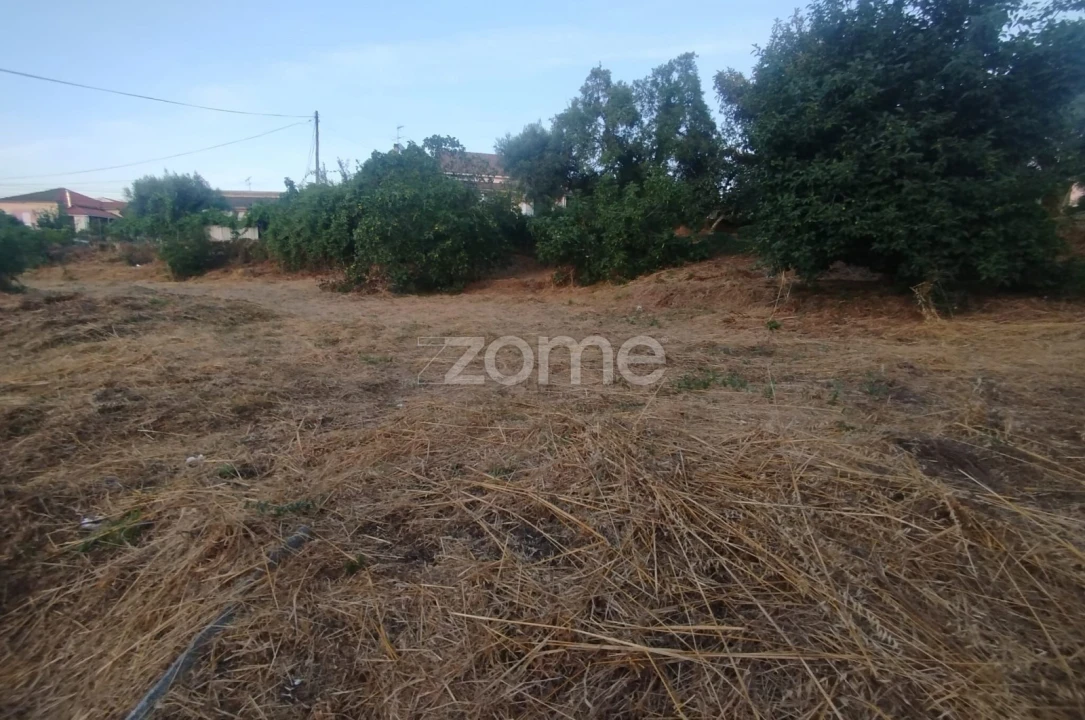 Terreno para Venda em Rio de Loba Foto 38
