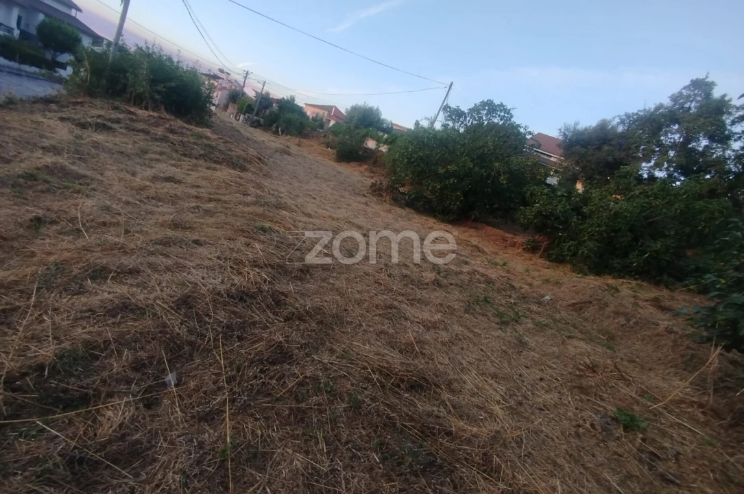 Terreno para Venda em Rio de Loba Foto 37