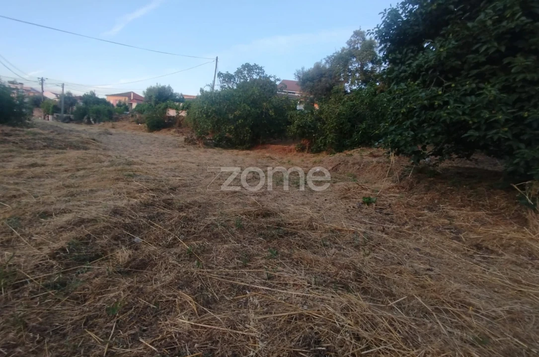 Terreno para Venda em Rio de Loba Foto 36