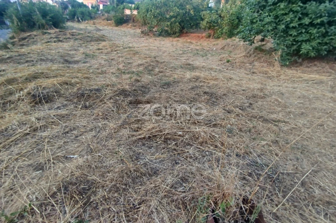 Terreno para Venda em Rio de Loba Foto 32