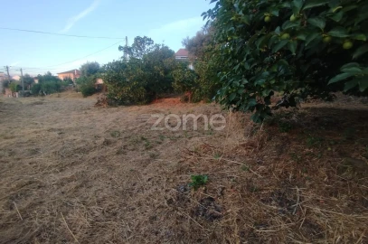 Terreno para Venda em Rio de Loba