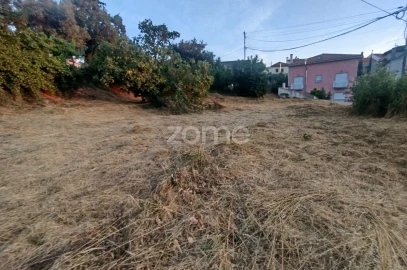 Terreno para Venda em Rio de Loba