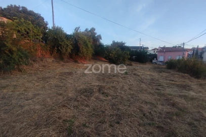 Terreno para Venda em Rio de Loba