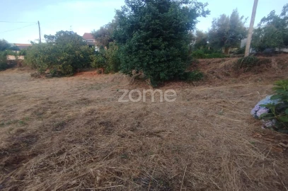 Terreno para Venda em Rio de Loba