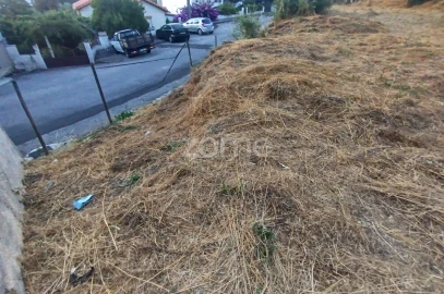 Terreno para Venda em Rio de Loba