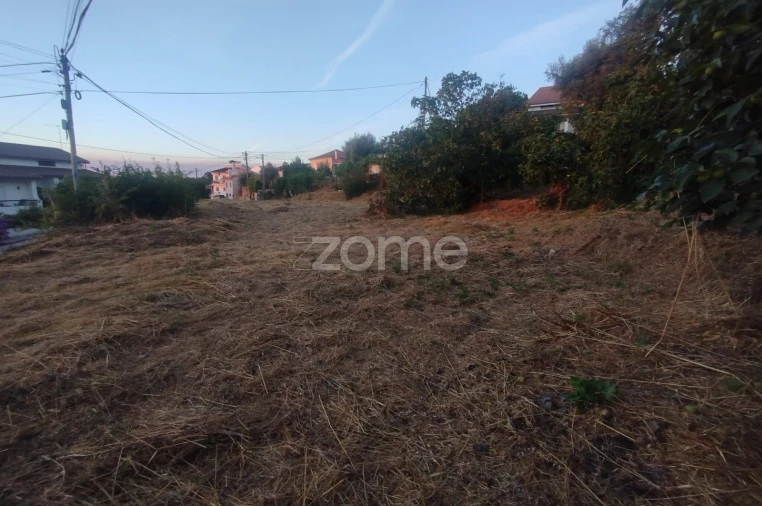 Terreno para Venda em Rio de Loba Foto 29