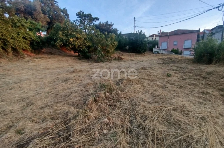 Terreno para Venda em Rio de Loba Foto 23