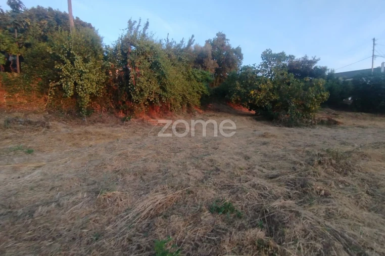 Terreno para Venda em Rio de Loba Foto 20