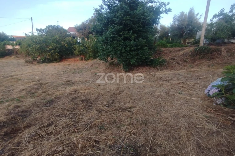 Terreno para Venda em Rio de Loba Foto 34