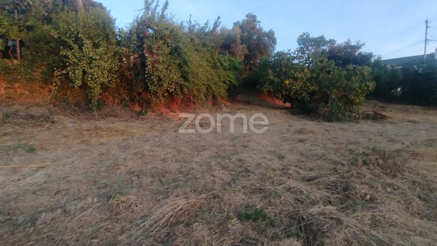 Terreno para Venda em Rio de Loba