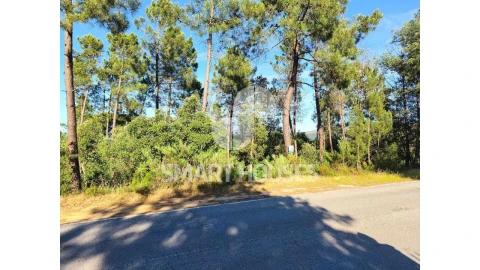 Terreno para Venda em Arganil