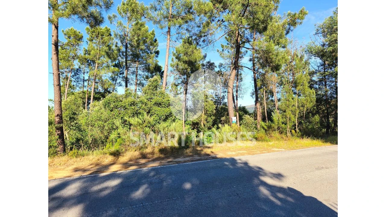 Terreno para Venda em Arganil Foto 1