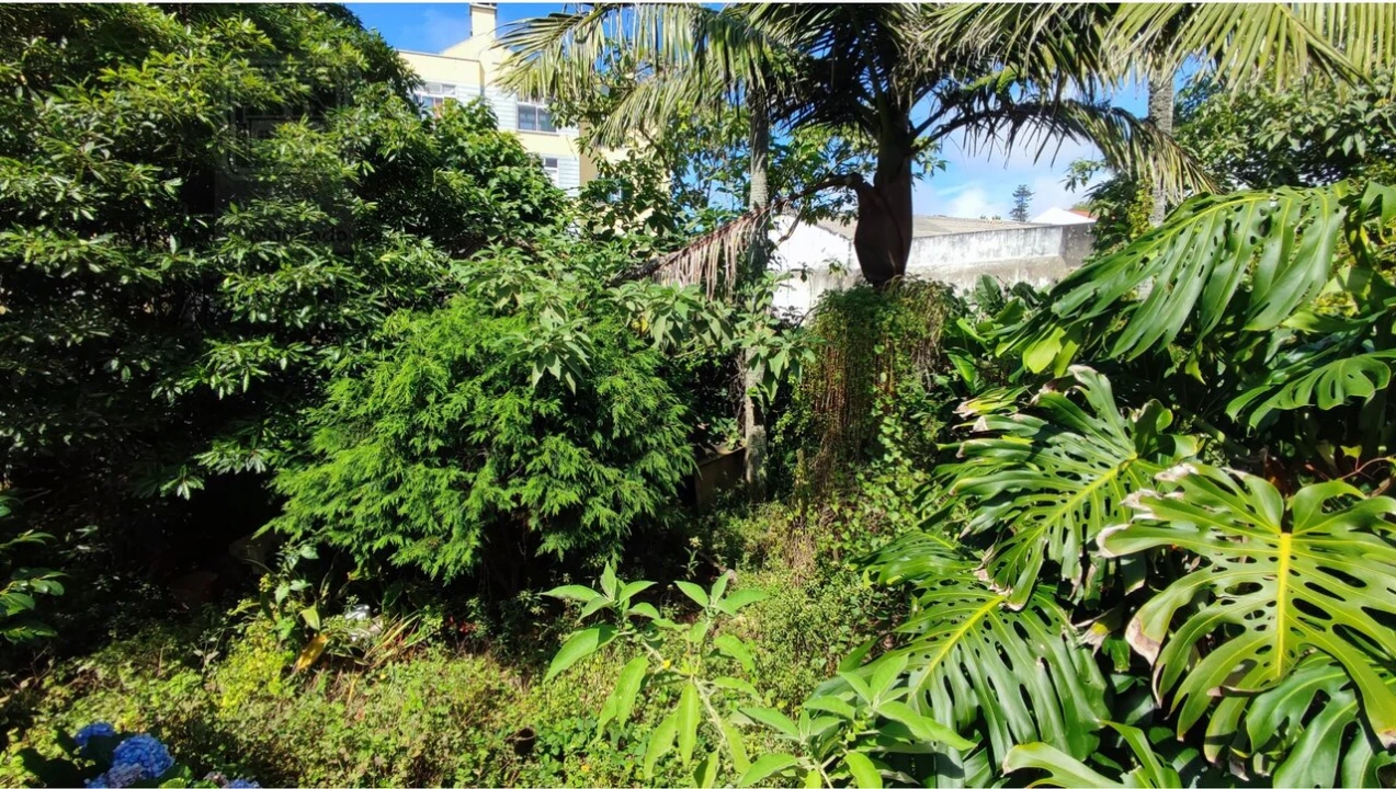 Moradia T12 para Venda em Ponta Delgada (São José) Foto 10
