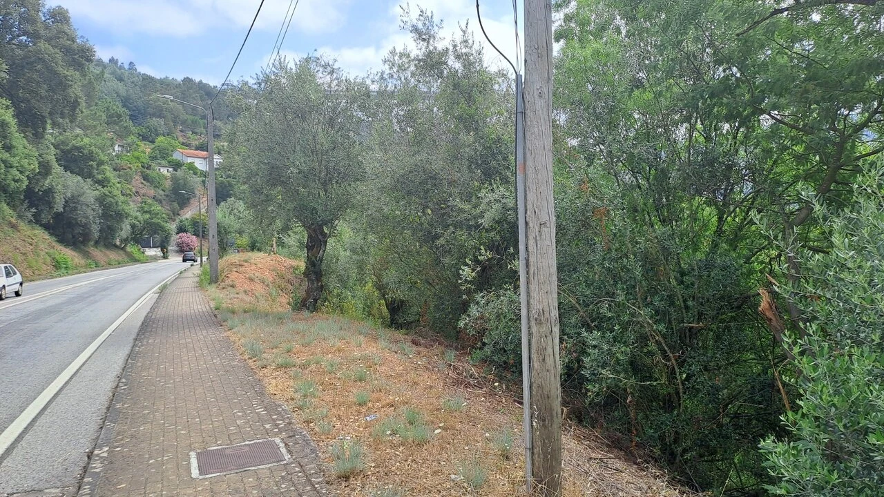Terreno para Venda em Ceira Foto 10