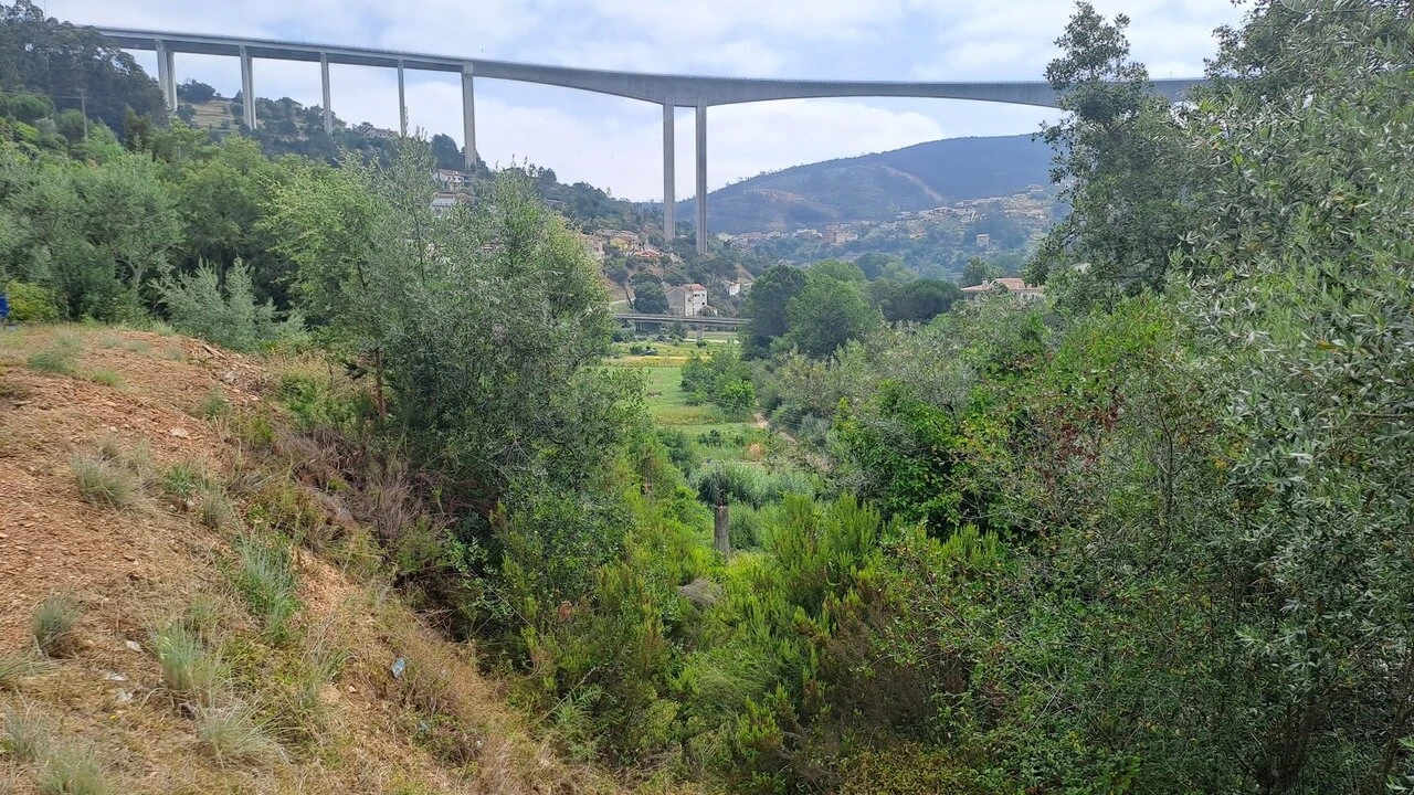 Terreno para Venda em Ceira Foto 3