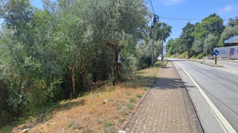 Terreno para Venda em Ceira