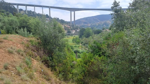 Terreno para Venda em Ceira