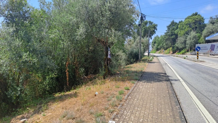 Terreno para Venda em Ceira Foto 7