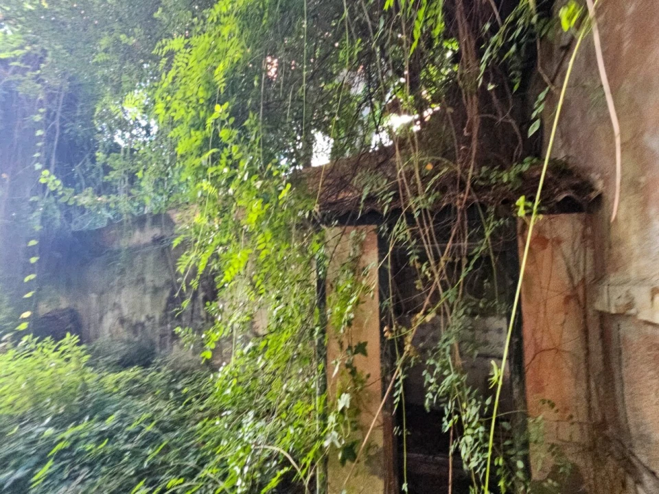 Prédio para Venda em Alcantara Foto 15