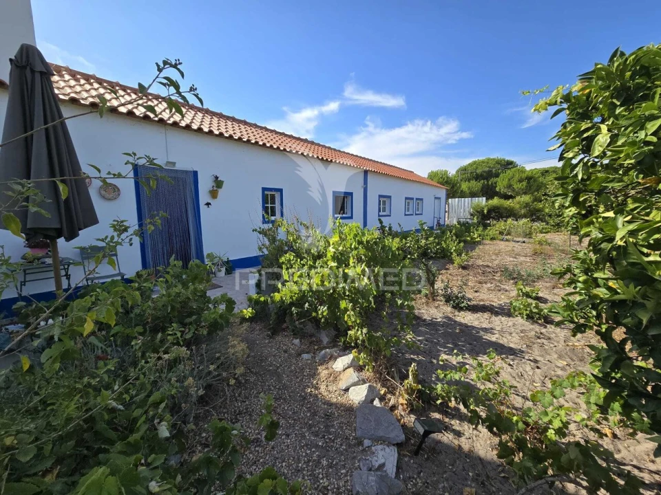 Moradia T4 para Venda em Melides Foto 1