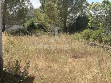 Moradia T0 para Venda em Paialvo