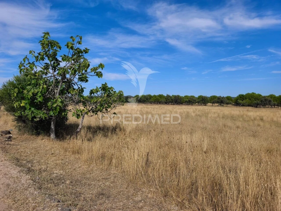 Terreno para Venda em Paderne Foto 5