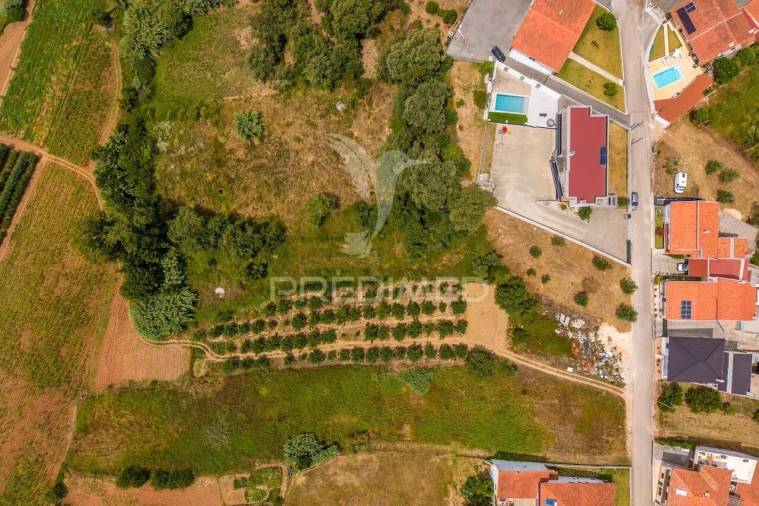 Terreno para Venda em Aljubarrota Foto 12