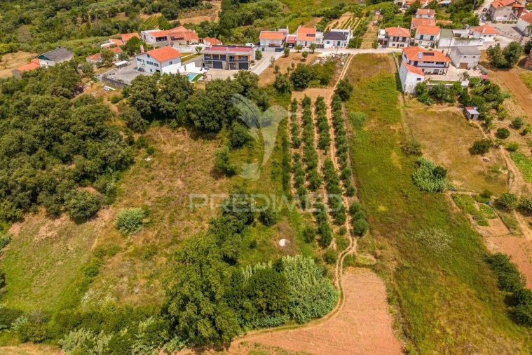 Terreno para Venda em Aljubarrota Foto 5