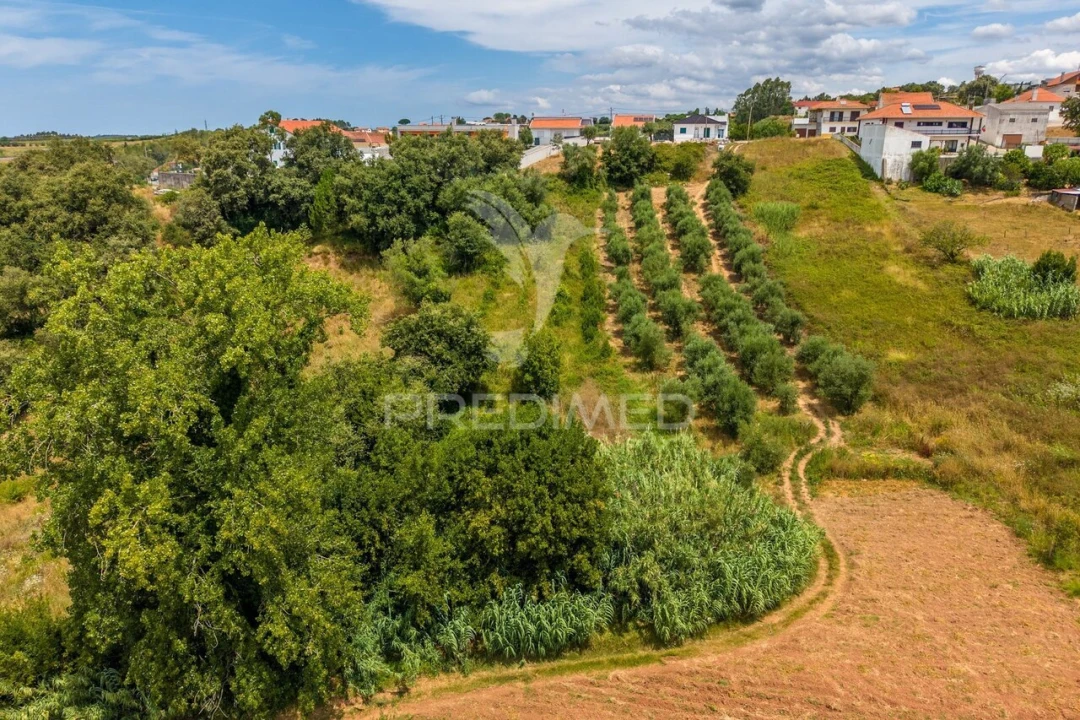 Terreno para Venda em Aljubarrota Foto 2