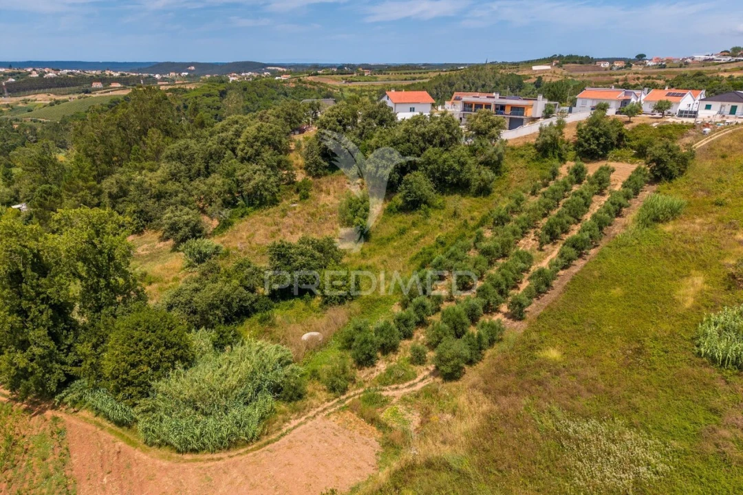 Terreno para Venda em Aljubarrota Foto 3