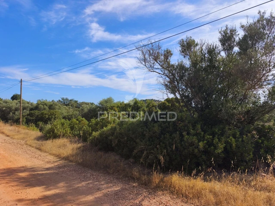 Terreno para Venda em Paderne Foto 5