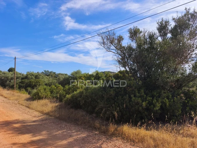 Terreno para Venda em Paderne Foto 5