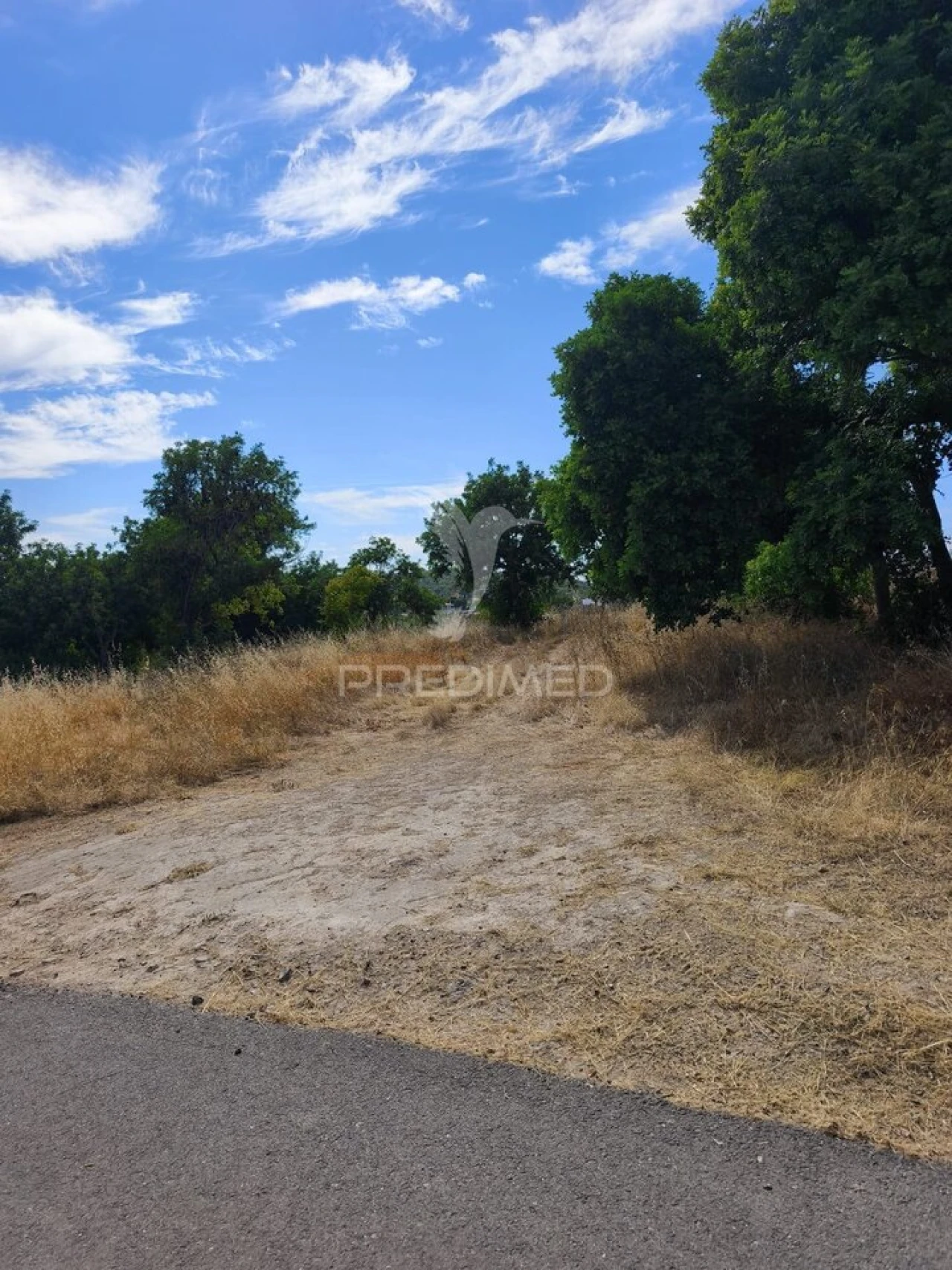 Terreno para Venda em Paderne Foto 5
