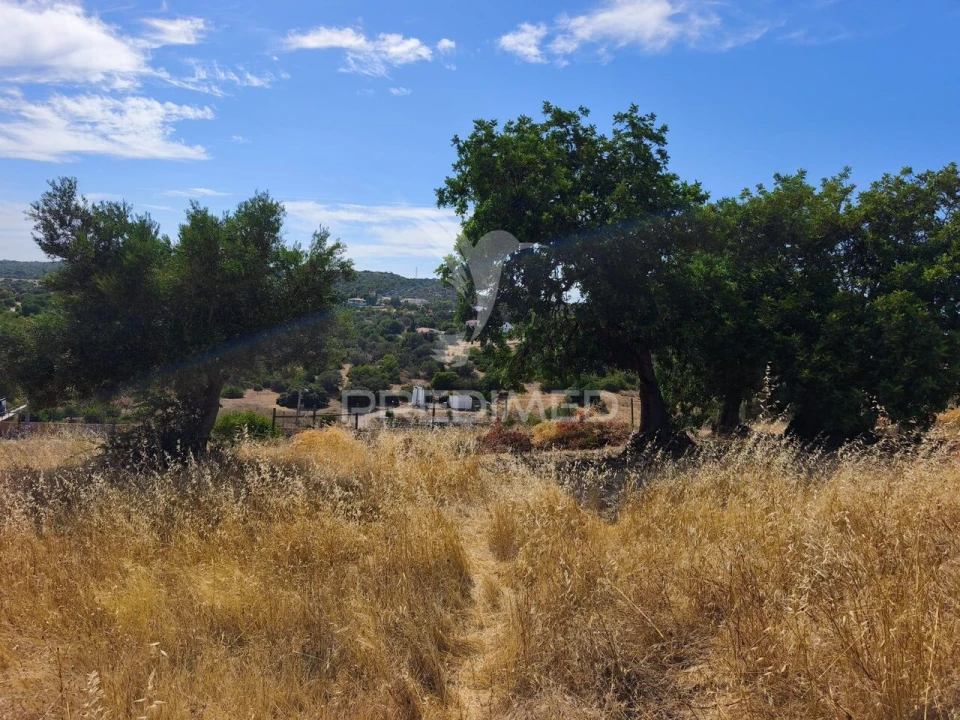 Terreno para Venda em Paderne Foto 6