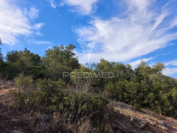 Terreno para Venda em Paderne
