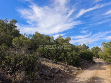 Terreno para Venda em Paderne
