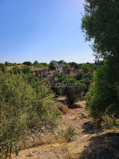 Terreno para Venda em Paderne