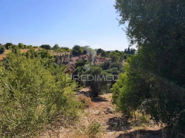 Terreno para Venda em Paderne
