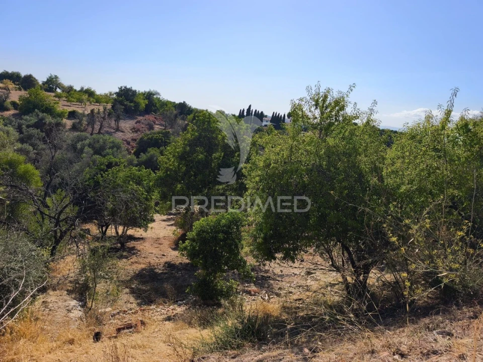 Terreno para Venda em Paderne Foto 2