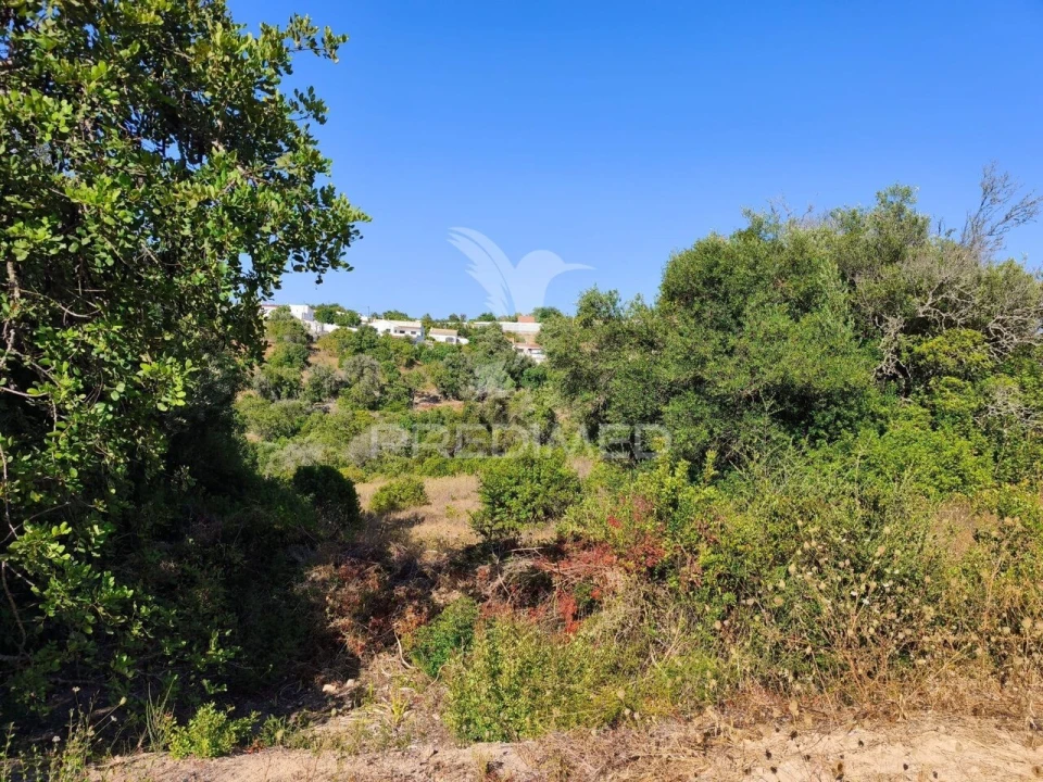 Terreno para Venda em Paderne Foto 1
