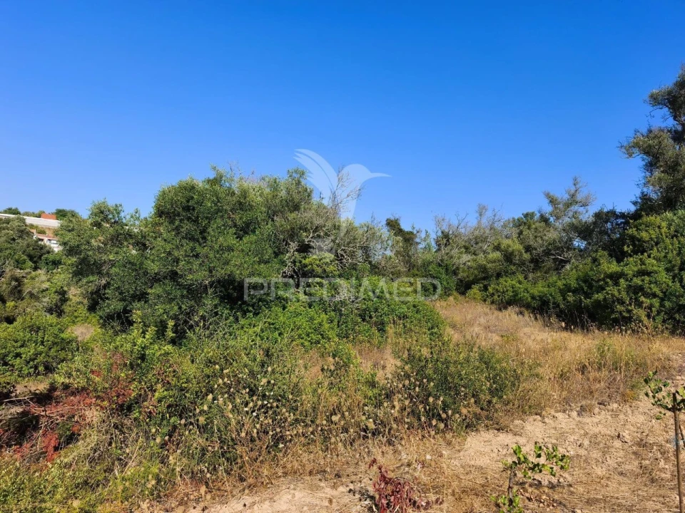 Terreno para Venda em Paderne Foto 16