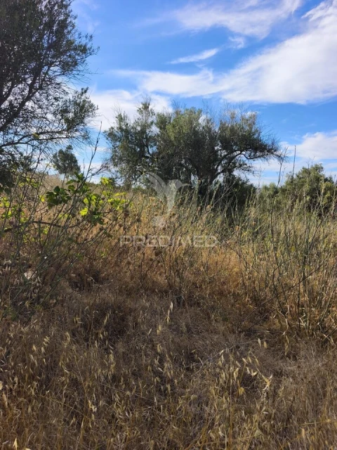 Terreno para Venda em Paderne