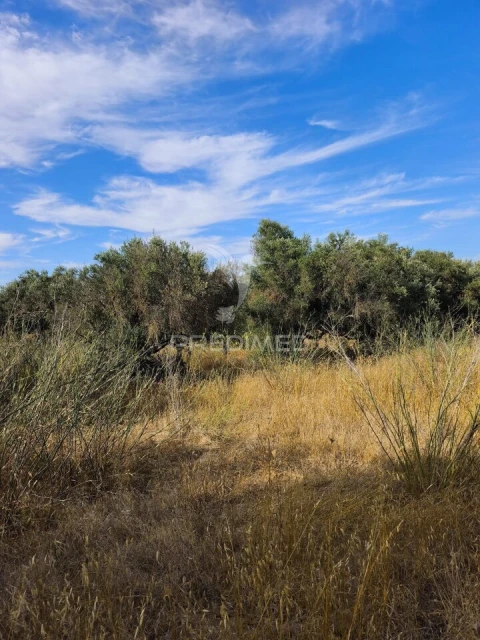 Terreno para Venda em Paderne