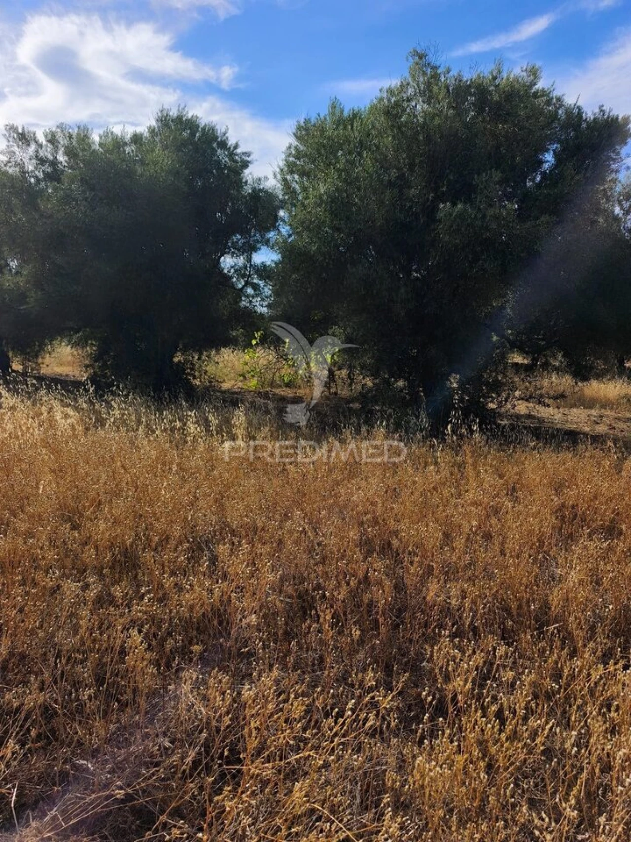 Terreno para Venda em Paderne Foto 2