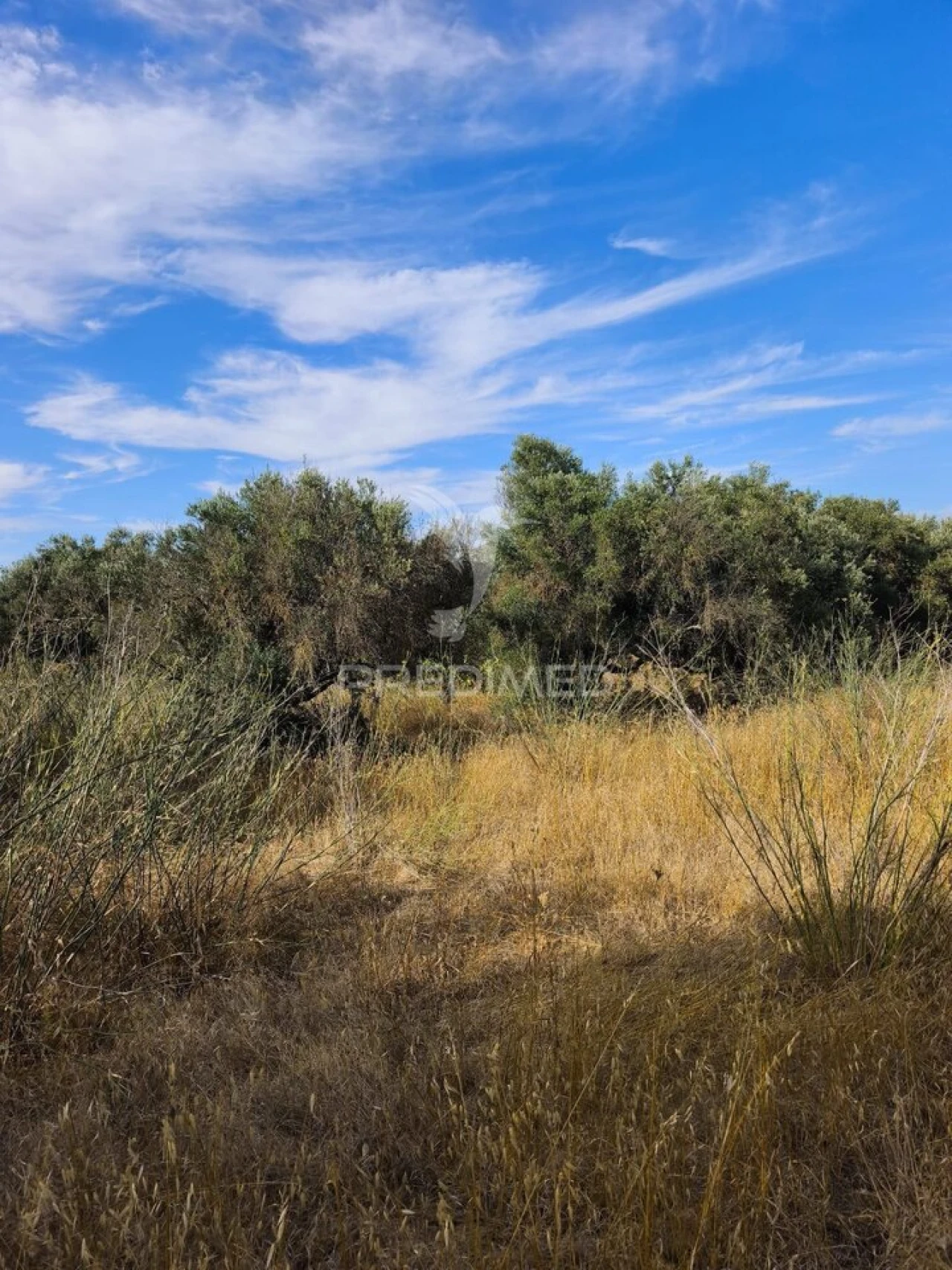 Terreno para Venda em Paderne Foto 1