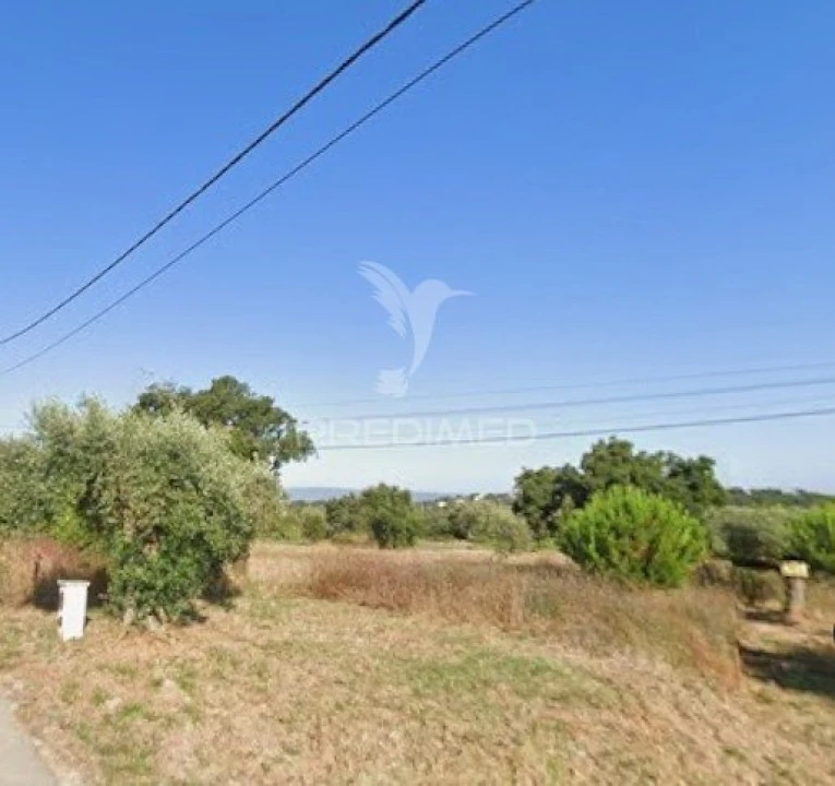 Terreno para Venda em Paialvo Foto 2