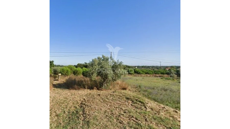 Terreno para Venda em Paialvo