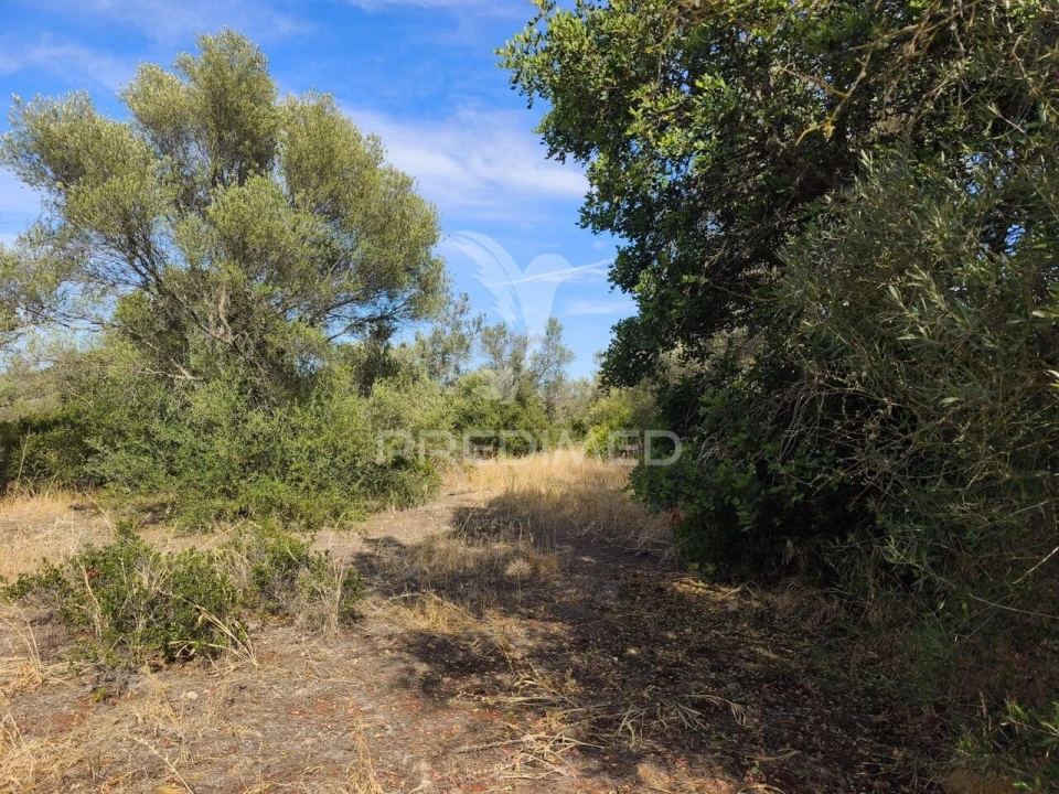 Terreno para Venda em Paderne Foto 6