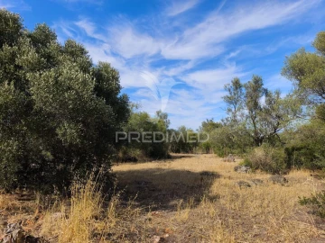 Terreno para Venda em Paderne