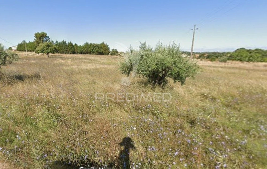 Terreno para Venda em Paialvo Foto 2